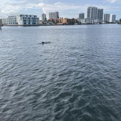 Intracoastal Miami