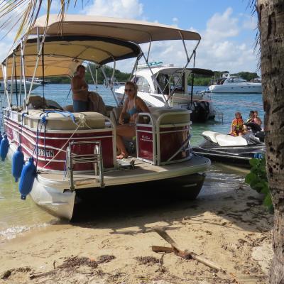 Racoon Island
